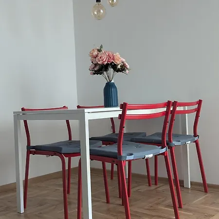 Didi * Novi Sad
