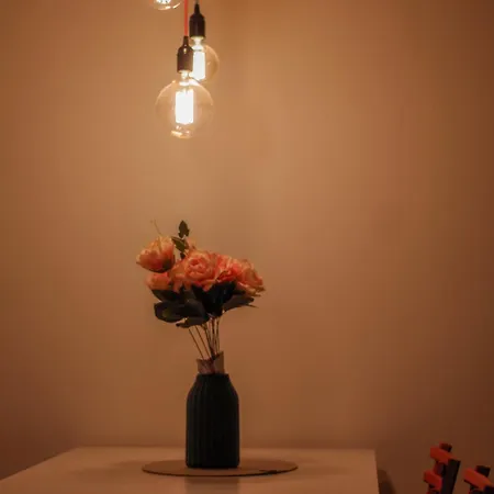 Apartment Didi Novi Sad